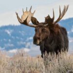 https://tourismnewbrunswick.ca/?utm_source=chatgpt.com