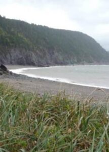 what should I do in New Brunswick for 3 days