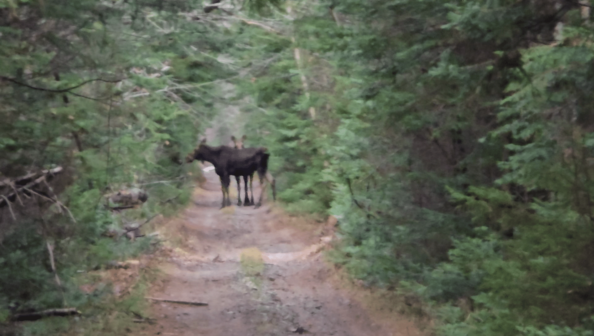 What is an ATV tour in New Brunswick really like?